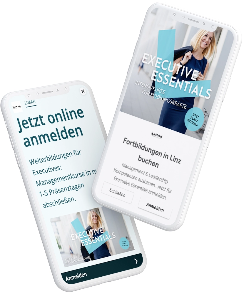 Google Ads Marketing LIMAK